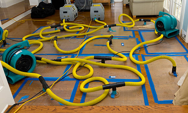 Professional Crawl Space Water Removal technician working in Ray, OH